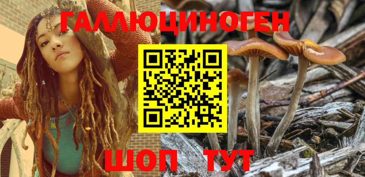 Берёзовский  Псилоцибиновые грибы GOLDEN TEACHER  Псилоцибиновые грибы Cubensis  Вход с VPN 