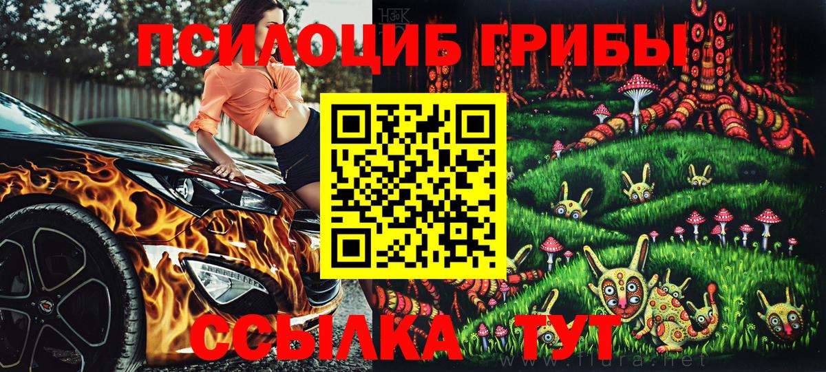 Псилоцибиновые грибы мухоморы Берёзовский
